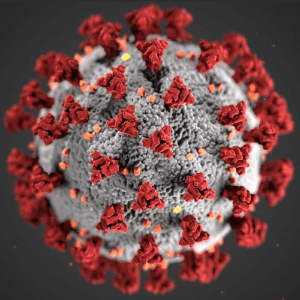 A simplified graphic image of the coronavirus, the virus that causes COVID-19.